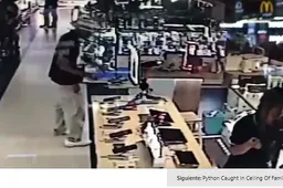 French Tourist nabbed for stealing Huawei P30 smartphone