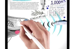 Scribble Will Turn Your Handwriting To Text in iPadOS 14