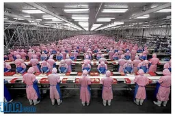 China Has Produced 620 million phones this year!!