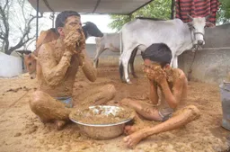 China generates commercial electricity from cow dung