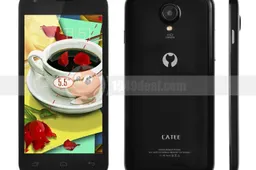 Discussion: Would you buy the $80 Catee CT550?