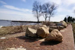 Camera Comparison: OnePlus One vs. OPPO Find 5 vs. Nikon D3100