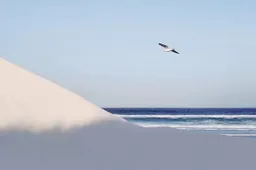 How to take minimalist photos - its simpler than you think