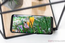 Again, Galaxy S9+ support page appears online