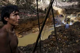 Apple, Google, Microsoft, Amazon & other US tech giants are the biggest buyers of illegal gold