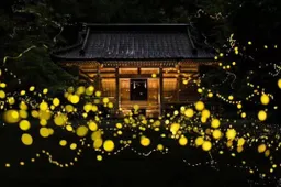 How to capture good images without proper editing skills