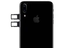 Why There is No Dual-Card iPhone?