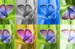 SynthID: The Invisible Mark That Exposes AI-created Images