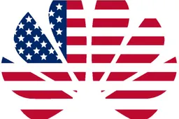 Huawei job listings suggests that the company did not give up the US market