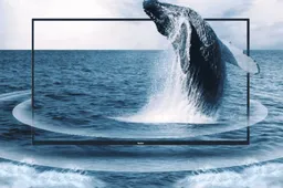 Redmi Smart TV X43 with 4K HDR and Dolby Vision launches on February 9