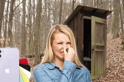 Woman ends up in the dirty depths of a toilet tank to save a smartphone