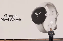 Google Pixel Watch: Memory and Storage settings detailed