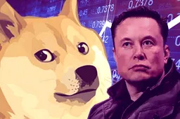 Elon Musk sued for alleged pyramid scheme involving Dogecoin