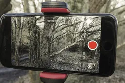 How to Record Videos on iPhone without interrupting your music