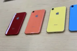 iPhone XR shipments will be 50% higher than the iPhone 8