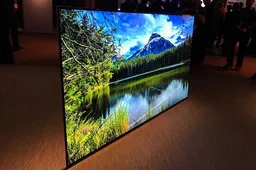 OLED Screen Market Increased By 115.8% Year-on-Year