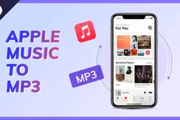 HitPaw Video Converter: The best way to convert Apple Music to MP3