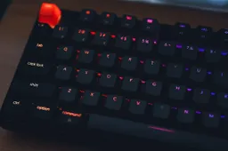 Unleash Your Gaming Potential on a Budget with These Best Gaming Keyboards