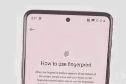 Suspected OnePlus Z real image shows a flat punch-hole display