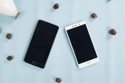 Doogee Shoot 1 vs. Huawei Honor 6X - small comparison