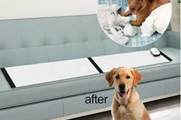 Need to train your pets ? DogCare scatmat is the answer