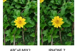 Photo comparison between AllCall MIX2 and iPhone 7