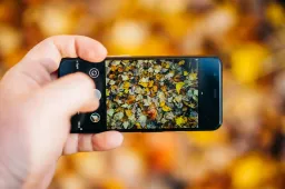 Unlock the Power of Pixel 8 and Pixel 8 Pro with These New Google Photos Features