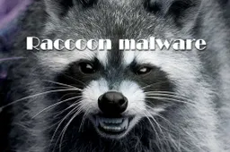 Raccoon banking malware threatens users of Chrome, Firefox and Edge