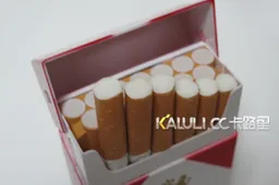 Cigarette Packet...... Cell Phone in Disguise!