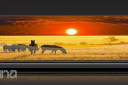 Update: 4150mAh Cubot Note S only $69.99 till 27th Jan