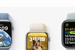 Apple WatchOS 9 Has A Big Problem, Don't Update Your Watch Yet