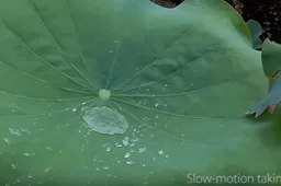 EleCam Explorer Elite samples are looking pretty good