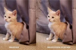 Sony new phone camera tech improves focus blur