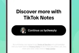 TikTok Notes - a new photo sharing platform launched in some regions