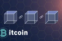 What is Bitcoin & Blockchain: Everything you need to Know! (Beginners Guide)