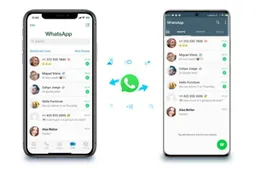 WhatsApp's Upcoming Feature: In-App Nearby File Sharing