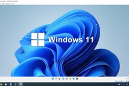 Microsoft improves the search experience on Windows 11