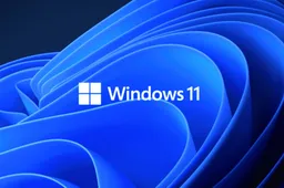 Microsoft, What Are You Doing? Fix This Windows 11 Issue, please.