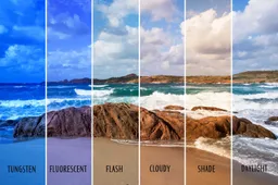 How to use your camera White Balance to get great pictures