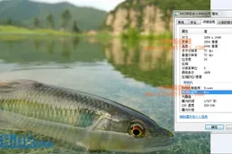 Rumor: Xiaomi M2 will have 8 mega-pixel camera!