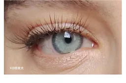 Xiaomi Mi MIX Alpha 100MP camera 8x zoom produces ultra-clear images