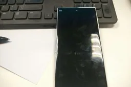 Another look at a possible Xiaomi leaked prototype