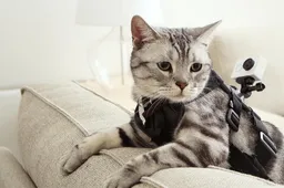 Xiaomi Yi Action Camera launched to rival GoPro