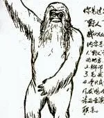 Hunt For the Chinese Yeti