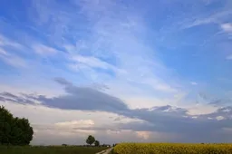 Camera wars continue: OnePlus One vs. Sony Xperia Z1