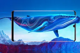 Nubia officially unveiled its Z18 flagship