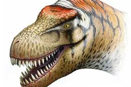 T-Rex's Bigger Badder Cousin Discovered in China