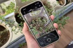 Adobe Unveils New Camera App for iPhone Users