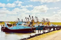 buitenhaven stellendam