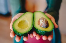 avocado 2115922 1920
